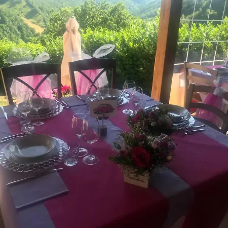 Country House La Farfalla Kır Evi